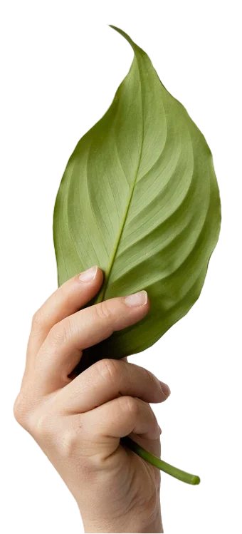 Parex | SUSTAINABILITY AND PAREX